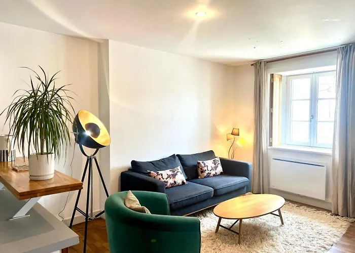 Le Saint-gregoire : Lumineux Centre-ville Apartment Poitiers